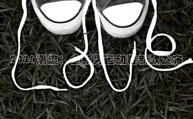 鲸鱼体育直播官网