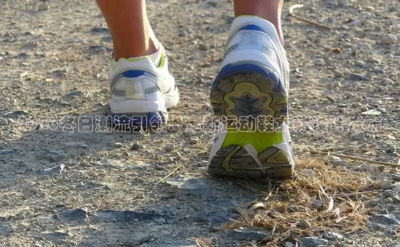 鲸鱼体育app